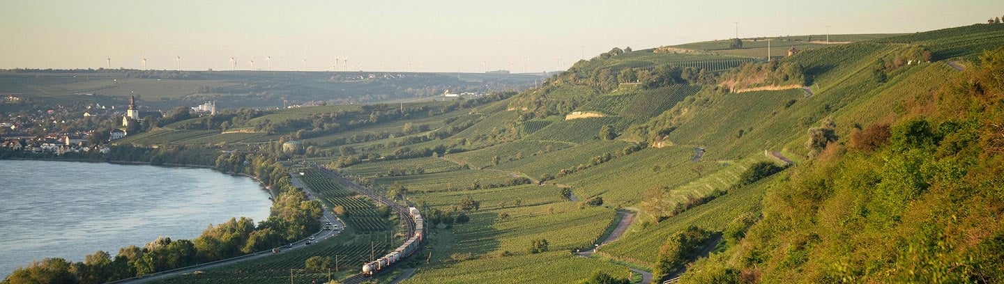 Wo Deals reifen: Das M&A Netzwerktreffen im Weinberg!