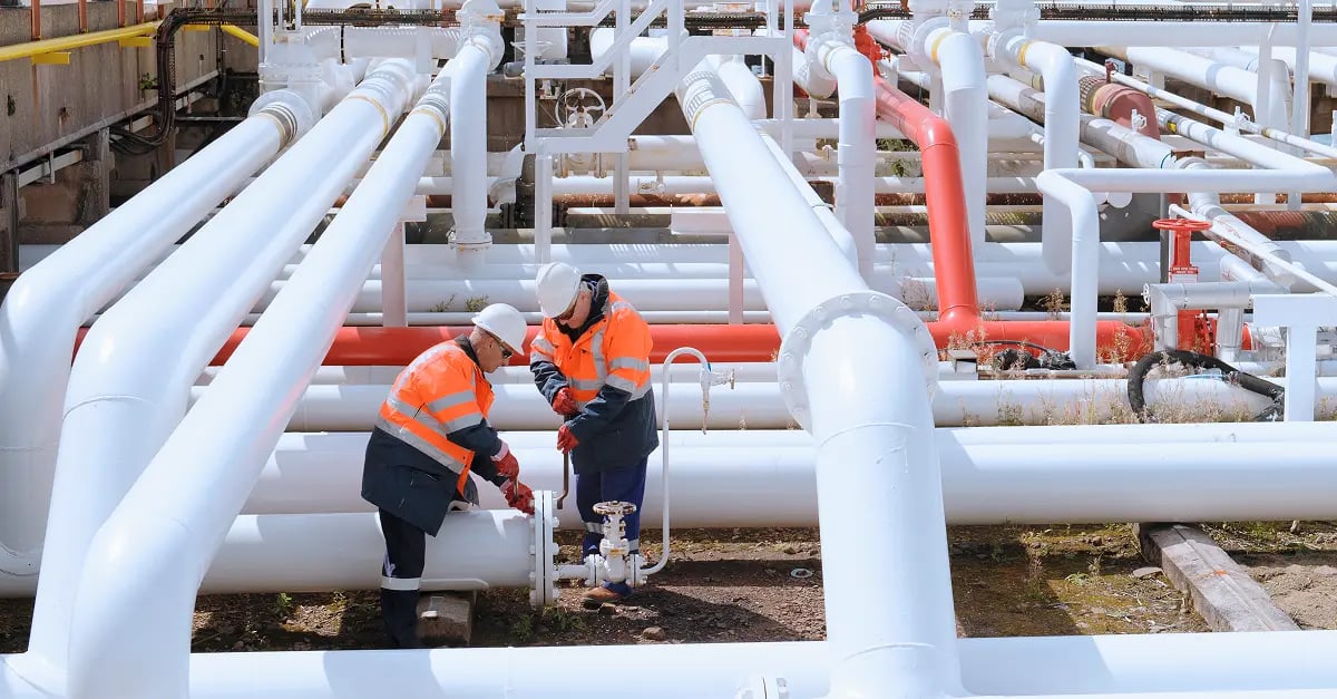 insight featured image