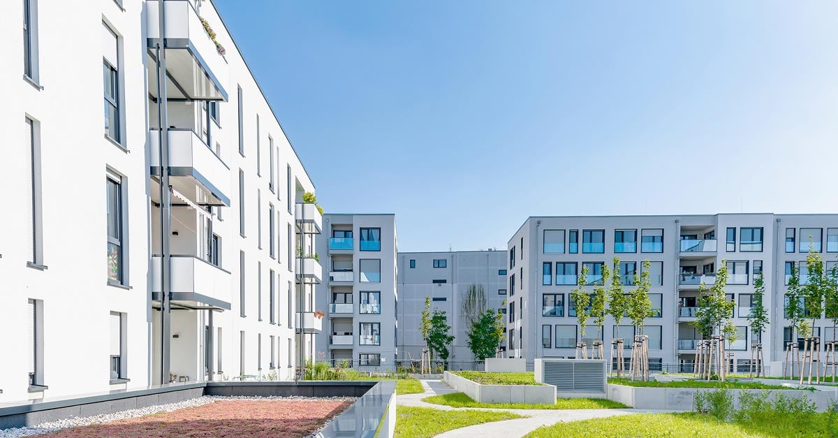 insight featured image