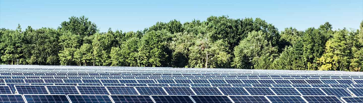 Photovoltaikanlagen, Energie- und Stromsteuer Möglichkeiten zu Steuerentlastungen für Unternehmen