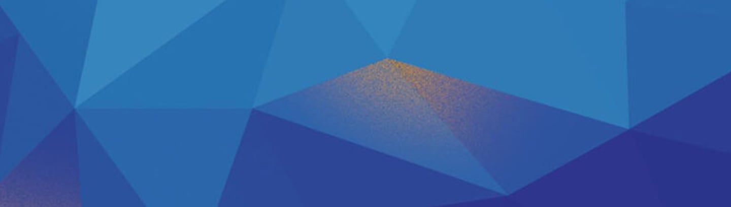 Die Non Profit Organisation 2024