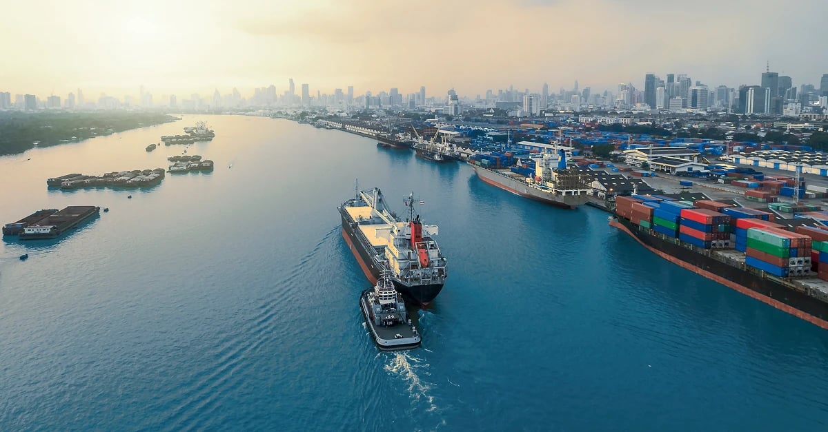 insight featured image