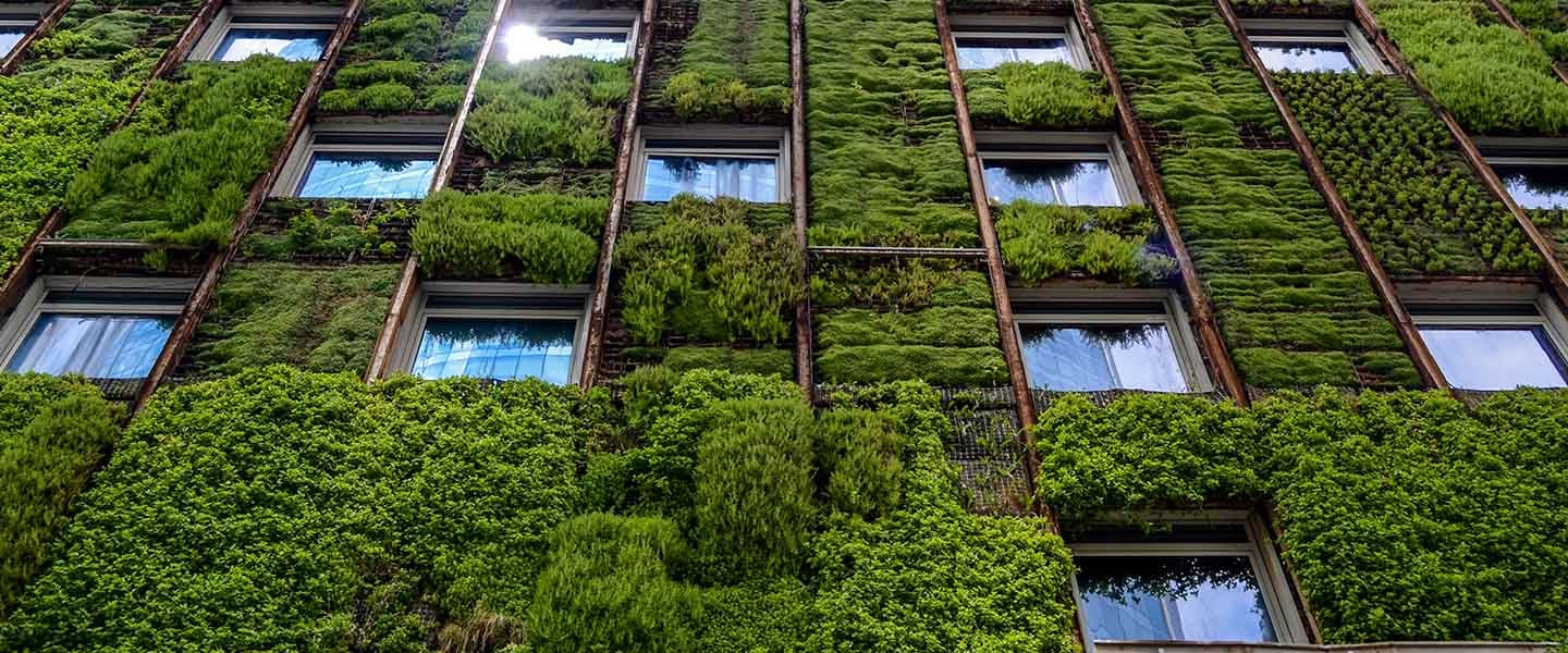 ESG und Bewertung: Wertermittlung in Zeiten von „Net-Zero“