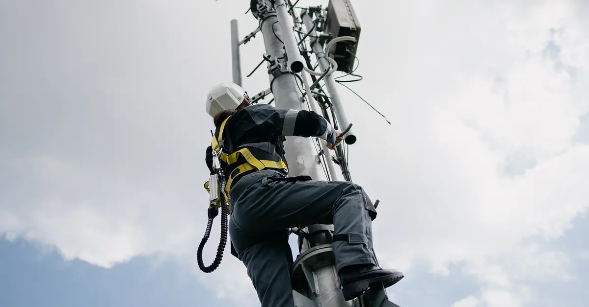 insight featured image