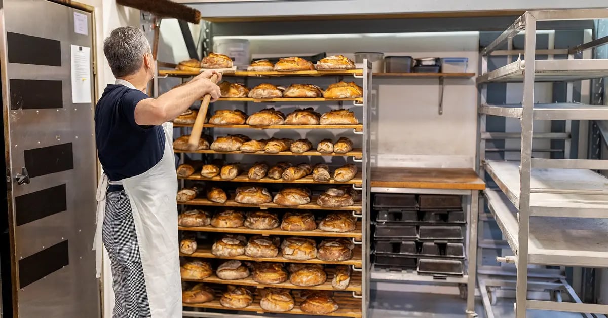 insight featured image