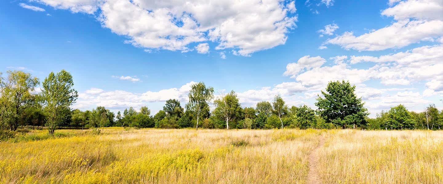 Ukraine Krise - Informationen für deutsche Unternehmen