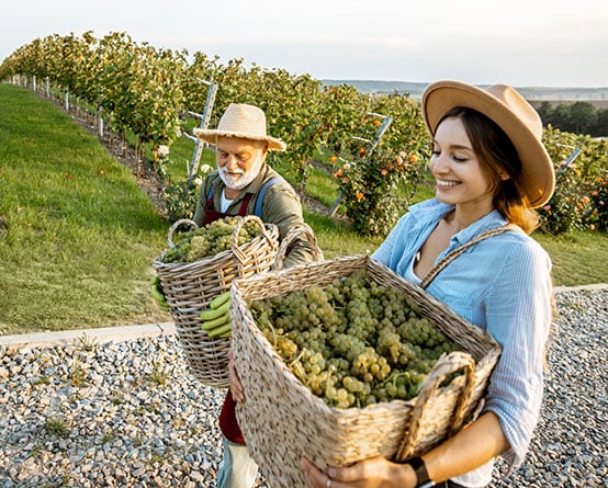 Unternehmensnachfolge und steuerliche Unternehmensbewertung