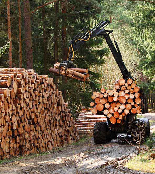 Ermäßigter Steuersatz bei Lieferung von Holzhackschnitzeln