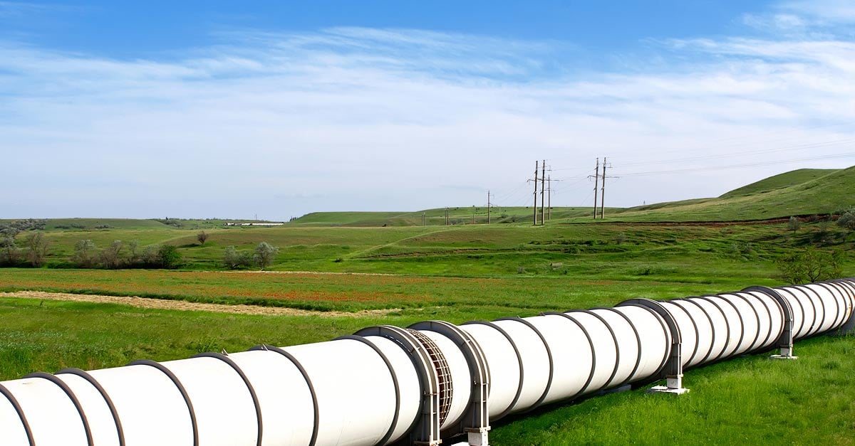 insight featured image