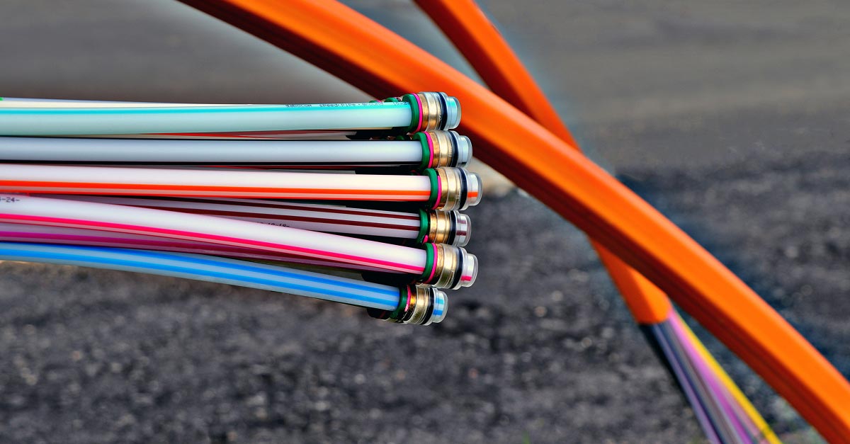 insight featured image