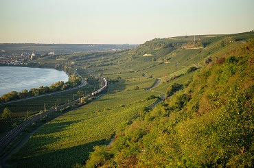 Wo Deals reifen: Das M&A Netzwerktreffen im Weinberg!