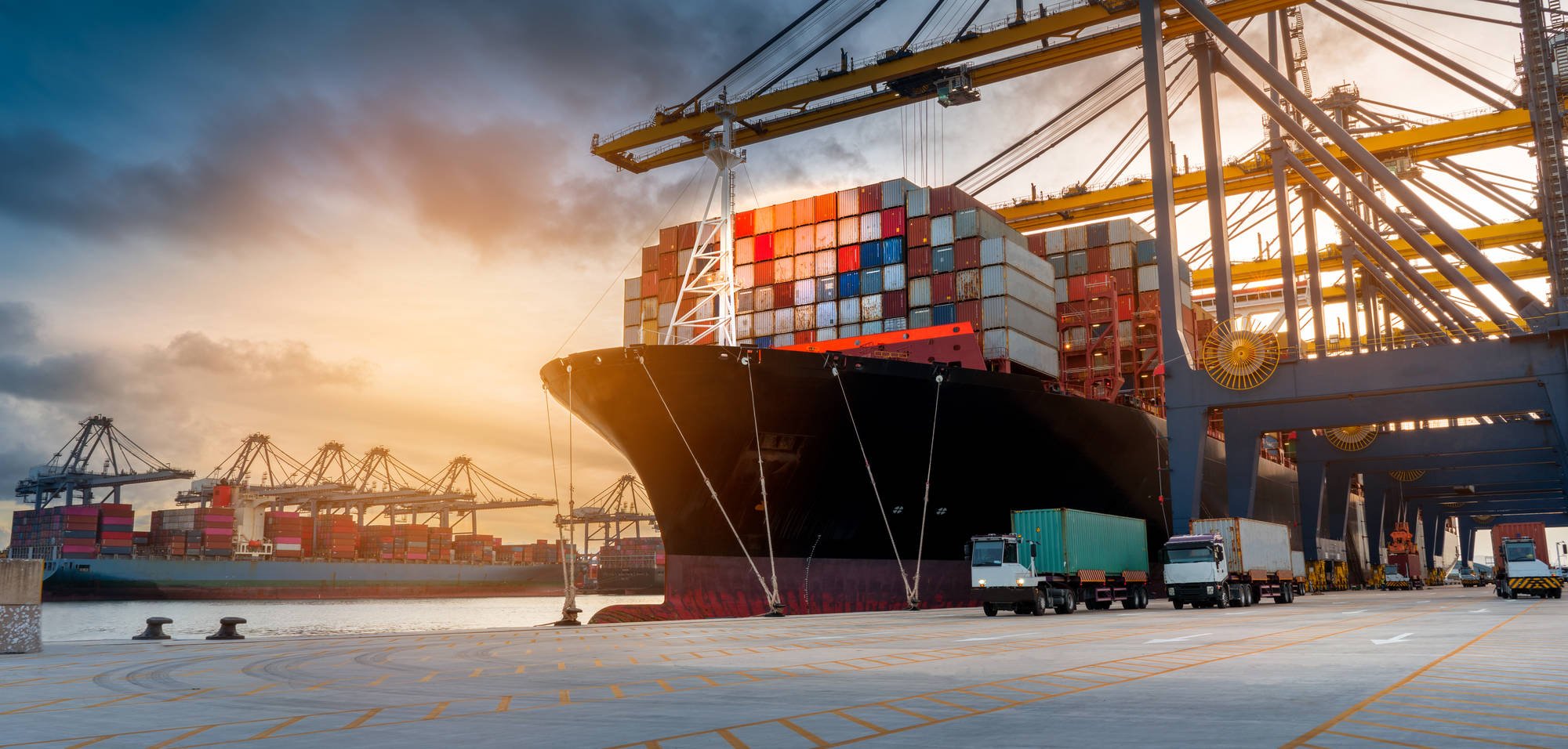 TWIN – Trade Worldwide Information Network