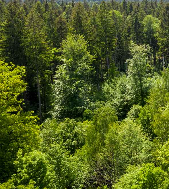 Steuerliche Förderung von Zukunftsinvestitionen durch die Klimaschutz-Investitionsprämie und Forschungszulage