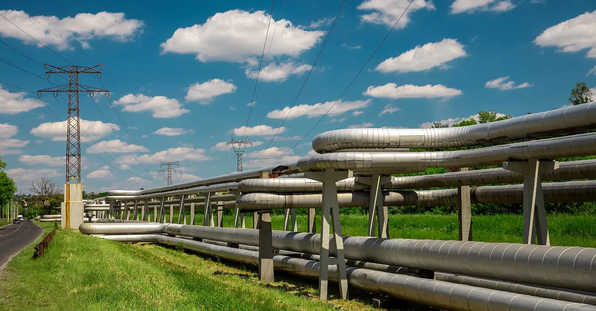 insight featured image