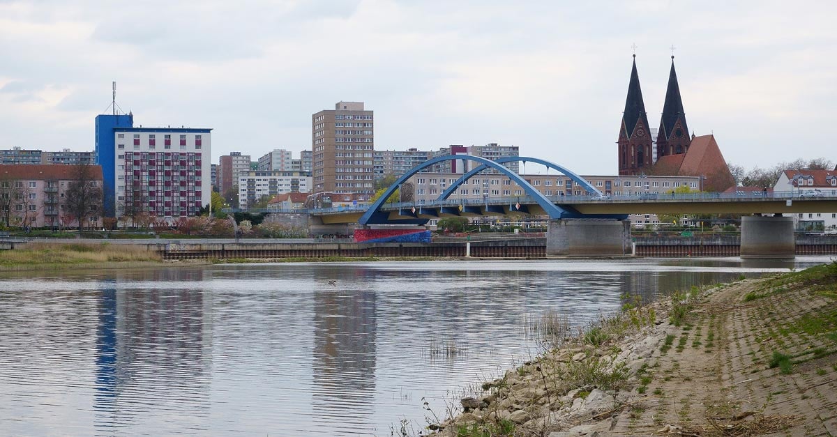 insight featured image