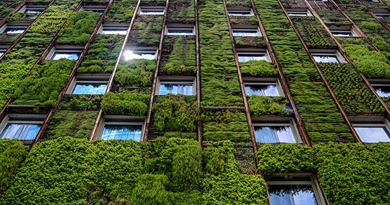 Grant Thornton Studie zur ESG-Readiness: Nachholbedarf im deutschen Mittelstand