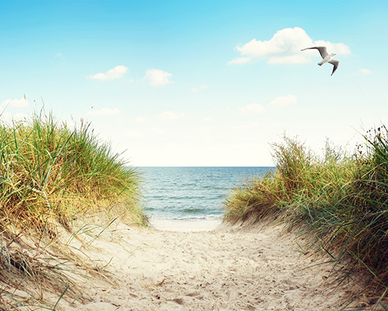 Vorsteuerabzug aus Leistungen für einen kommunalen Kurbetrieb