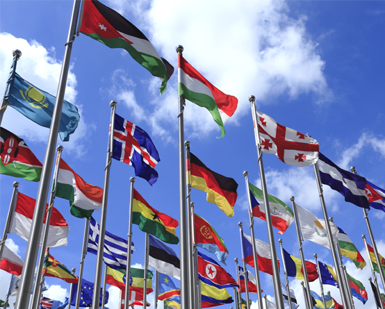 Bekämpfung von Gewinnverkürzung und –verlagerung – (BEPS)