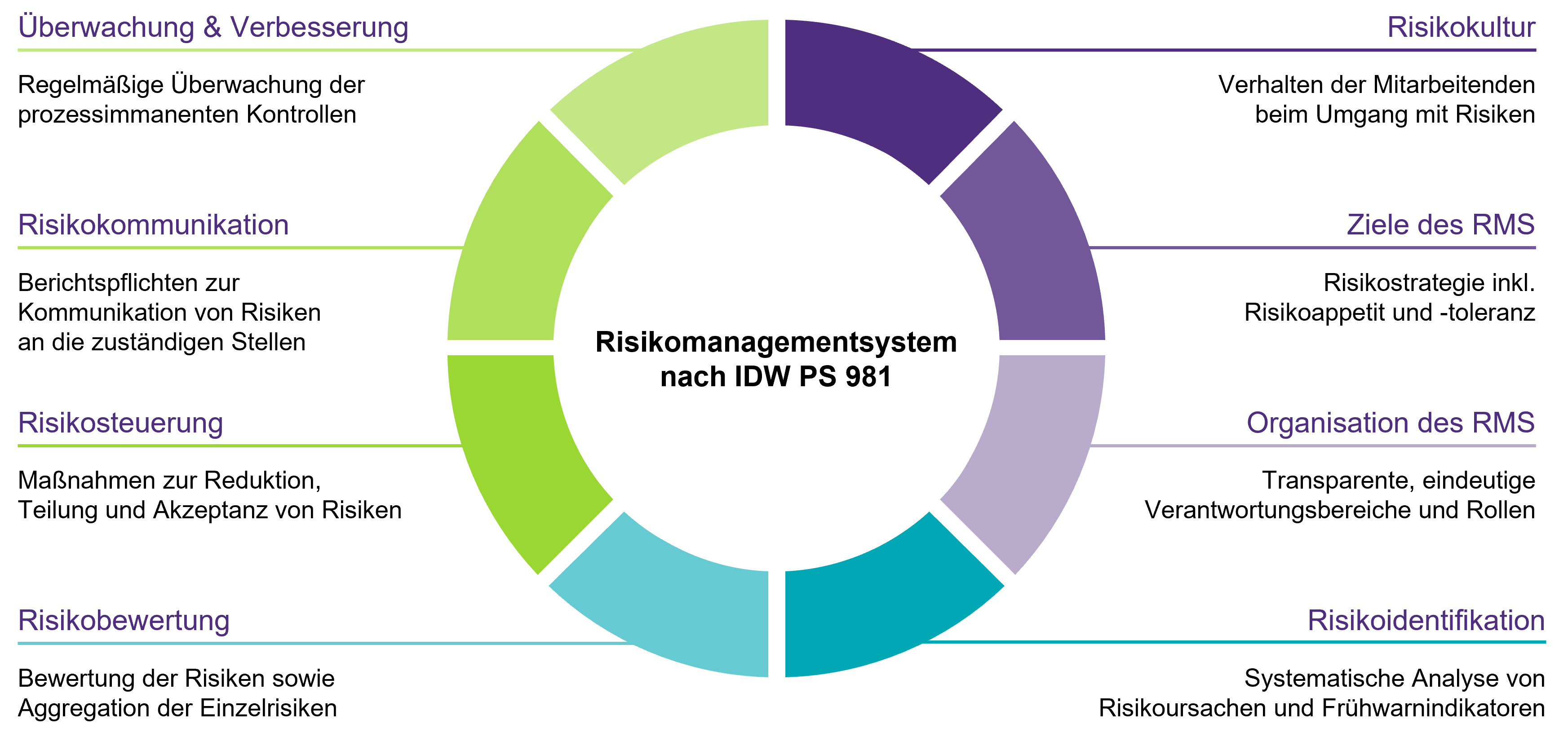 Risikomanagment_IDW.png